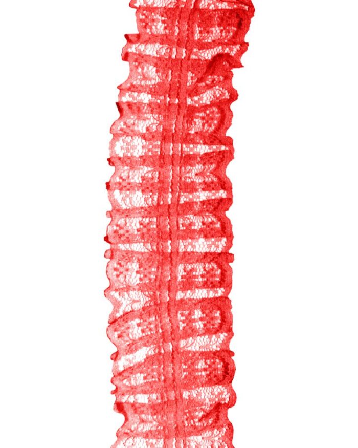 dantela organza 45mm - DCR14-rosu - imagine 1