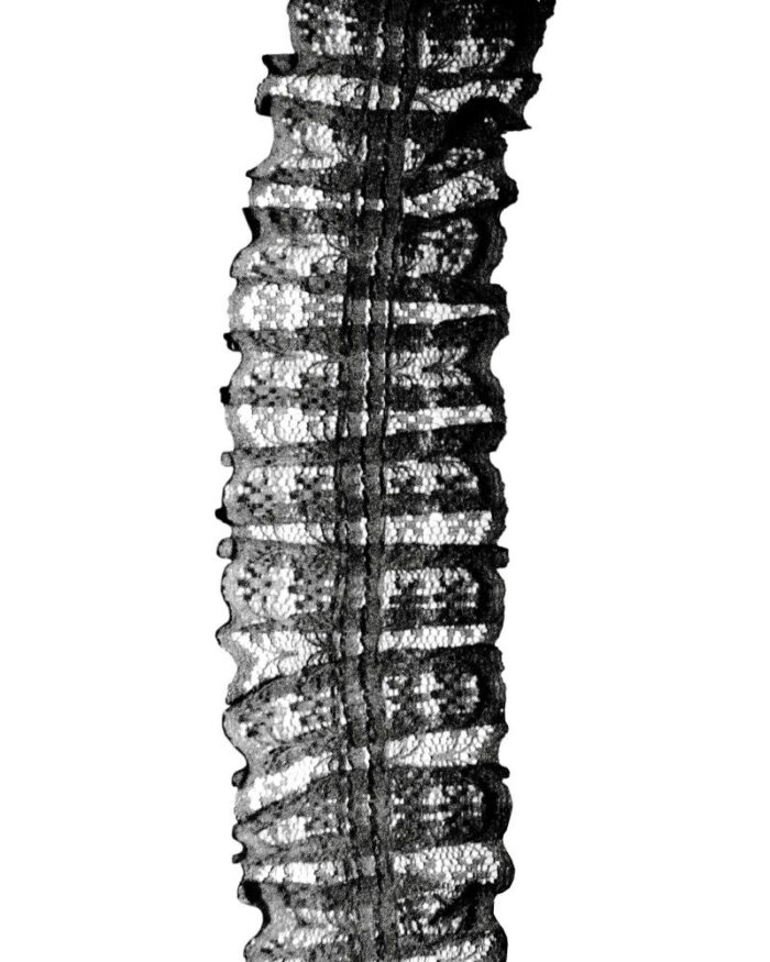 dantela organza 45mm - DCR15-negru - imagine 1