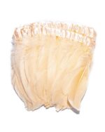 pene de porumbel mari 14-18 cm la metru