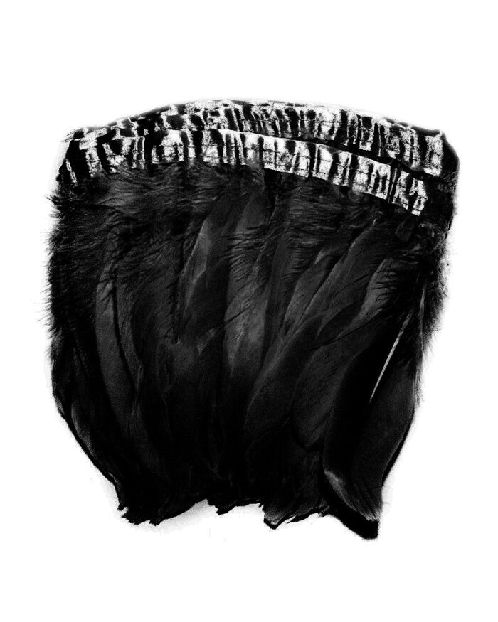 pene de porumbel mari 14-18 cm la metru