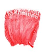 pene de porumbel mari 14-18 cm la metru