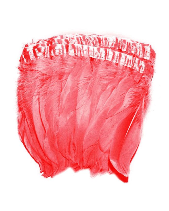 pene de porumbel mari 14-18 cm la metru