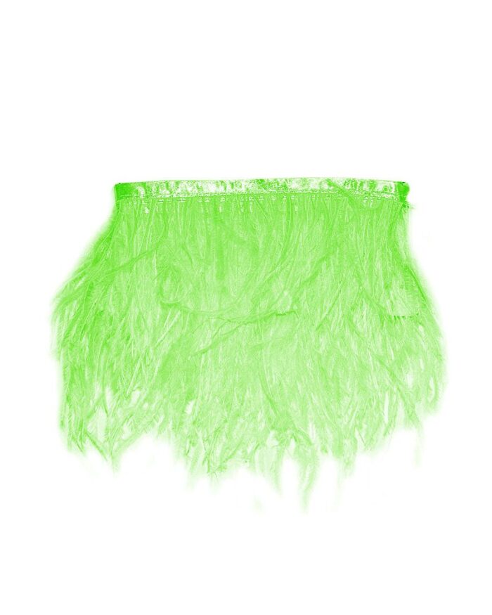 pene de strut pene de strut