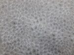 material textil lurex