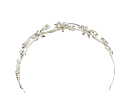 Diadema coronita par